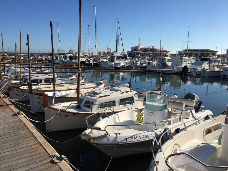 Apartment Front In Cala Marsal With The Sea View ! Portocolom (Mallorca)