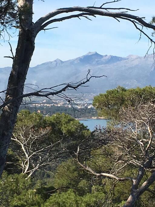 Front In Cala Marsal With The Sea View !