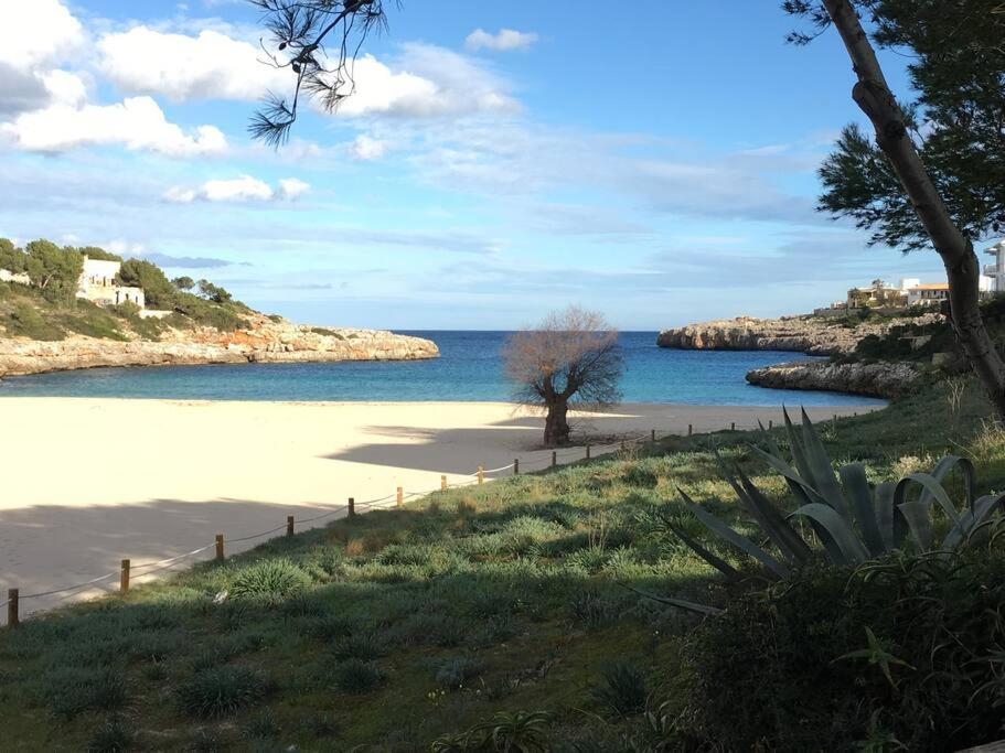 Front In Cala Marsal With The Sea View !