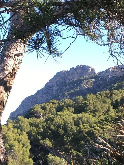 Front In Cala Marsal With The Sea View !