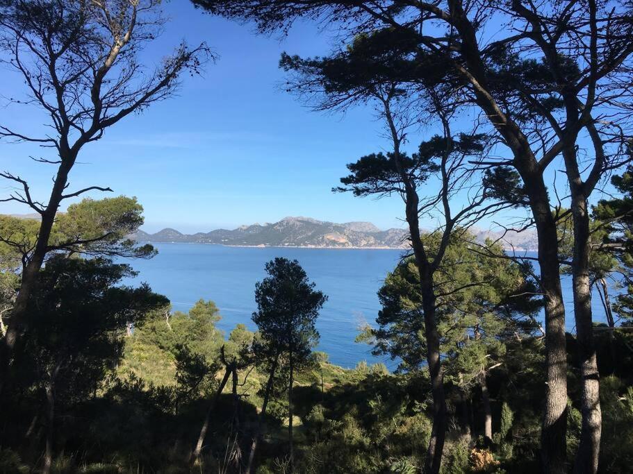 Front In Cala Marsal With The Sea View ! Apartment *