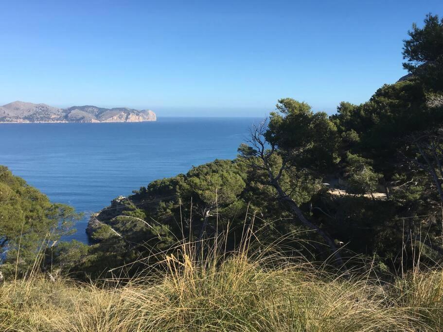 Front In Cala Marsal With The Sea View ! Apartment *