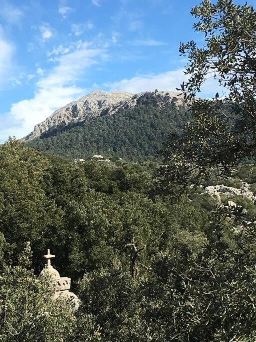 Front In Cala Marsal With The Sea View ! *