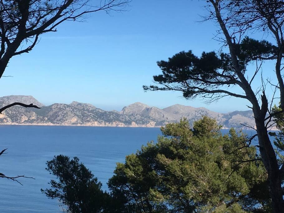 Apartment Front In Cala Marsal With The Sea View ! *