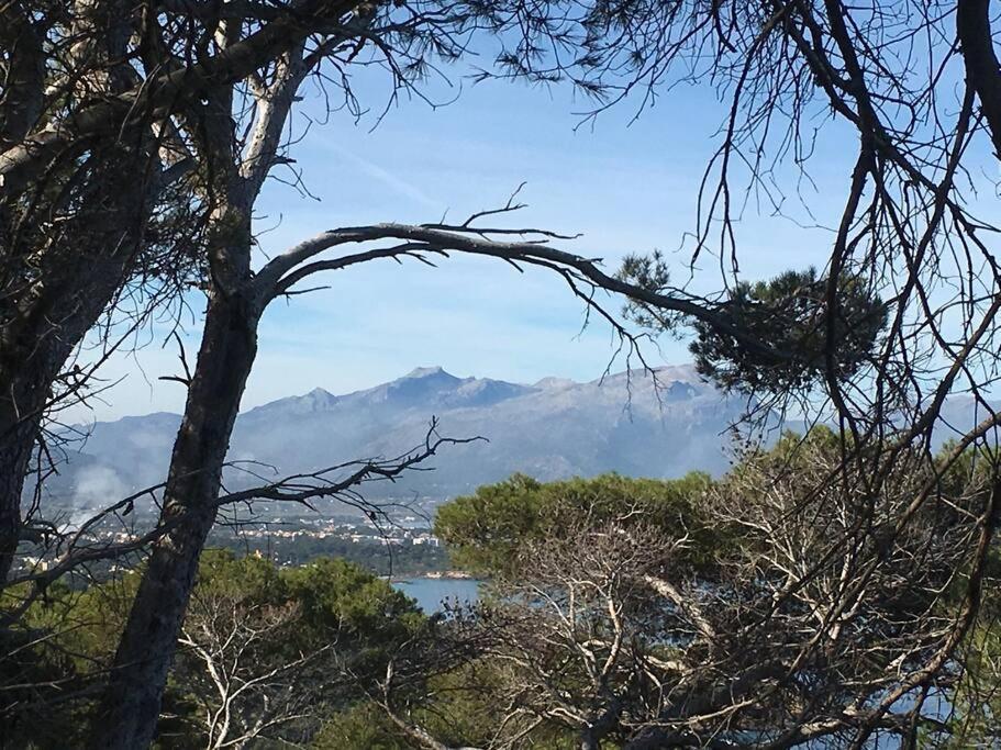 Apartment Front In Cala Marsal With The Sea View !