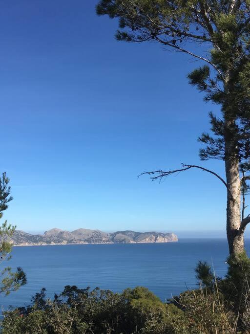 Front In Cala Marsal With The Sea View !