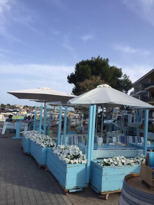 Front In Cala Marsal With The Sea View ! Apartment *