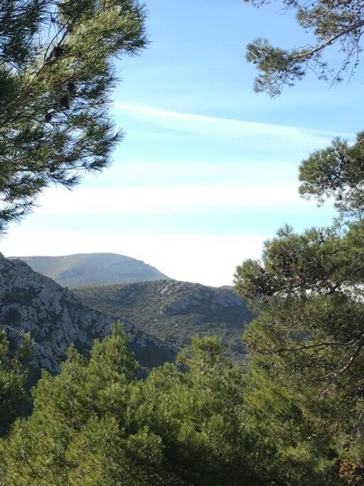 Front In Cala Marsal With The Sea View ! Apartment *
