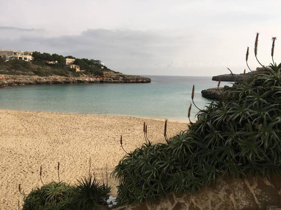 Front In Cala Marsal With The Sea View ! Apartment
